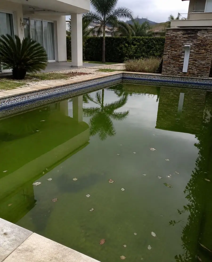 Piscina antes do tratamento, com água verde